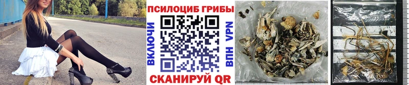 Купить  Будённовск  Псилоцибиновые грибы GOLDEN TEACHER 