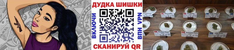 Канабис конопля Будённовск